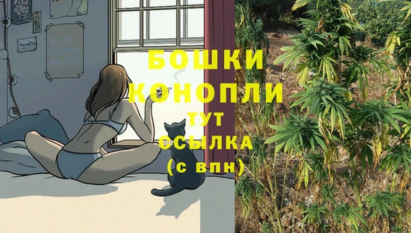 jwh Белокуриха